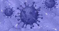 Sorrento Therapeutics says STI-1499 fully inhibited SARS-CoV-2 virus