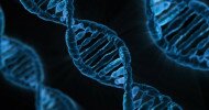 Ferring, Blackstone invest $570m in nadofaragene firadenovec gene therapy