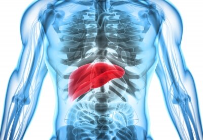 GNI Group to end patient enrolment in F351 phase 2 liver fibrosis trial